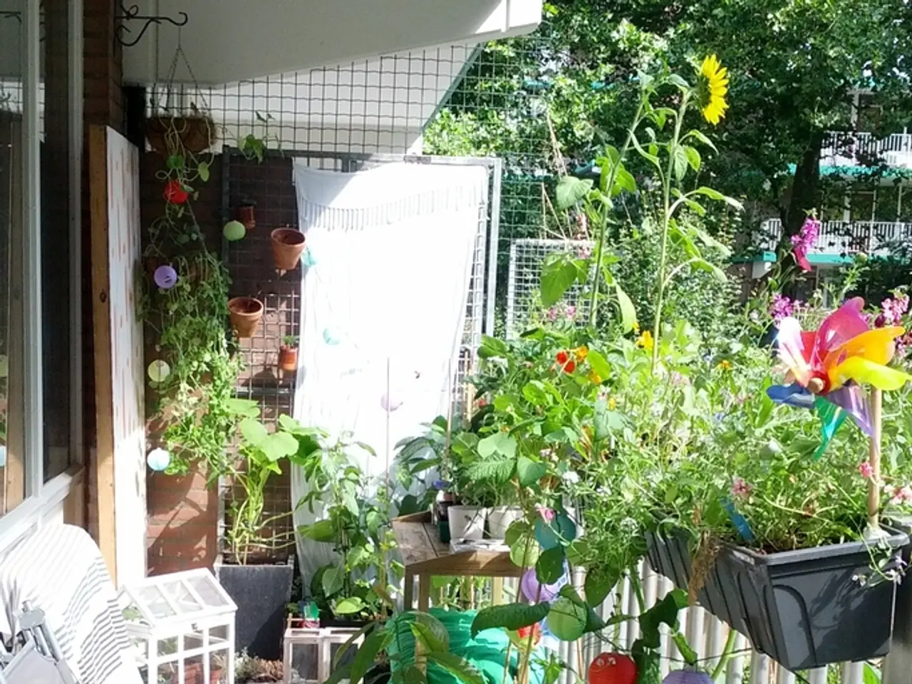 Embracing Tech in Rural Life: A Blend of Ancient and Modern Wisdom