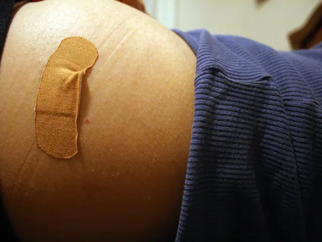 European Union Advances Plan to Encourage Online Expansion of Information and Digital Communication...