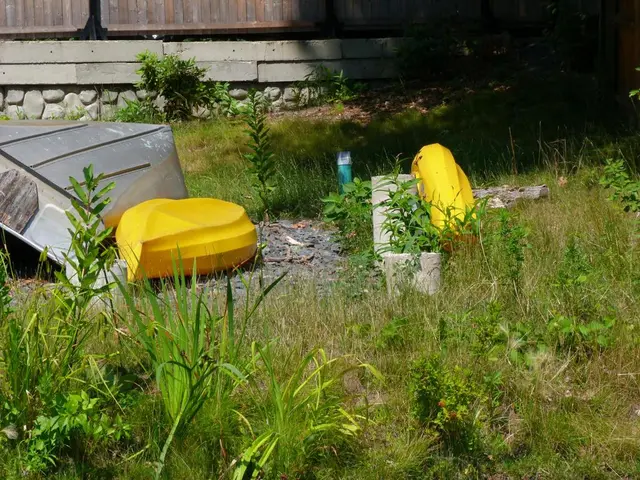 Offshore New Zealand: Exploration of Great Barrier Island