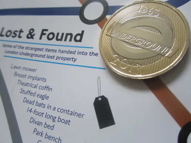 Acquiring the Necessary Authorization to Participate in European and UK Public Procurement...