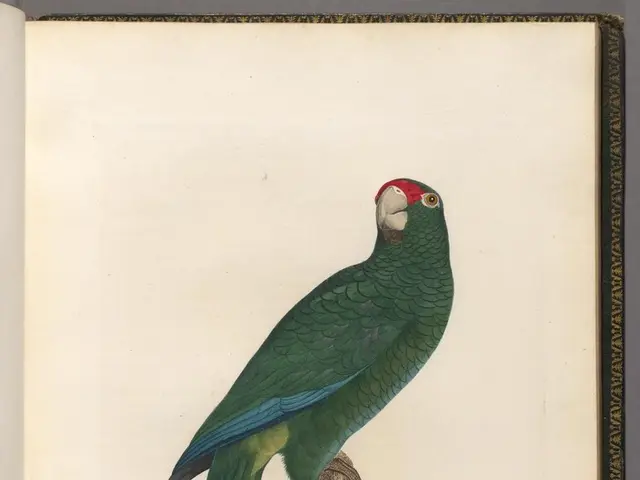 Demand for Nonstop Air Travel Between Macau and Portugal