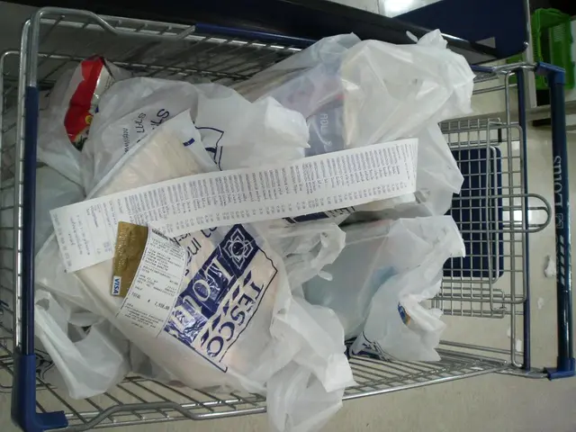 Effortless eco-friendly habits for a more sustainable daily lifestyle