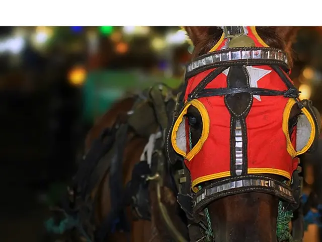 Essential Knowledge for First-Time Home Buyers on Contemporary Architectural Trends