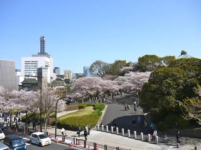 Scorching Summer Congestion: Gridlocks on These Roadways in RLP