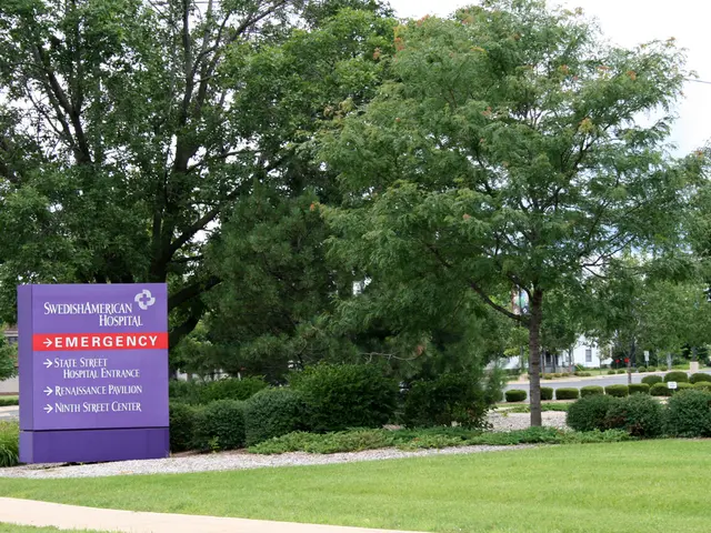 Persistent Struggles in the Troubled Dwelling: Party Urges Aid for Tenants in Distress