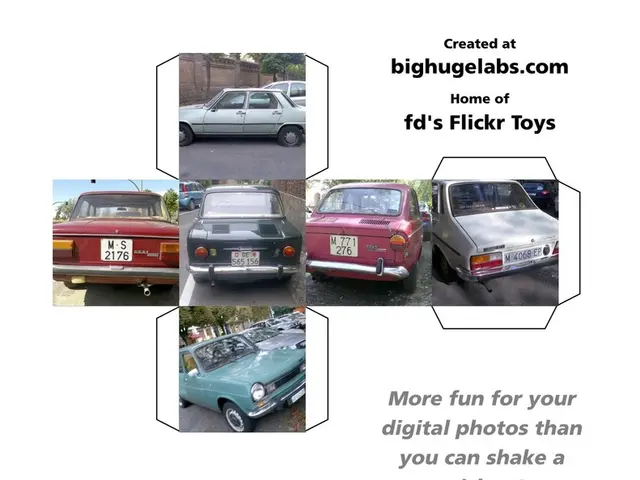 Factors to Ponder When Purchasing a Vehicle for Professional or Personal Needs