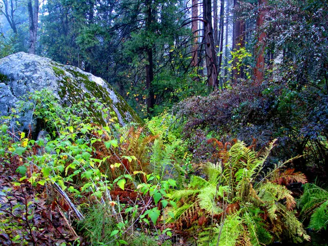 Discovering Geological Marvels: Exploring Spectacular Geological Formations in National Parks
