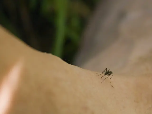 Mosquitoes tend to prefer certain individuals over others, and factors such as blood type, sweat...