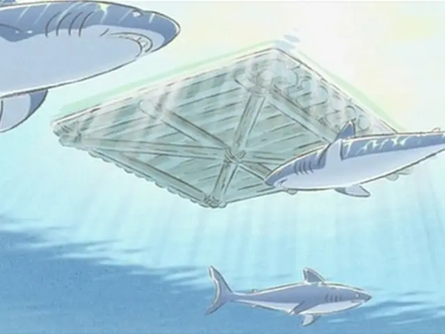 Delving into Bushrangers Bay, a home to the Grey Nurse Shark world