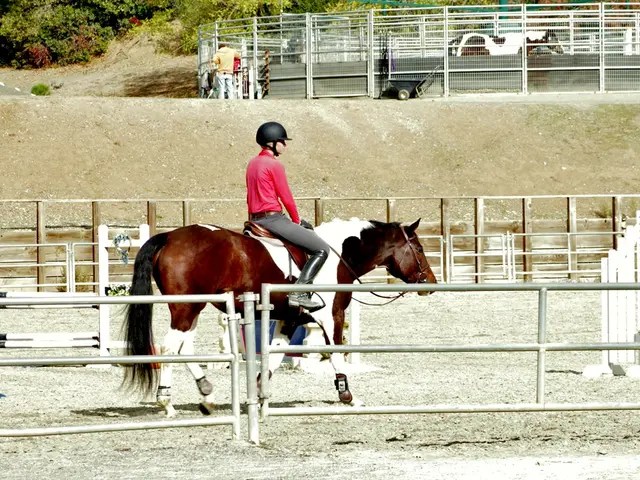 Enjoying the rhythmic artistry of dressage, as practiced by Maya Dalla Valle, proprietor of Dalla...