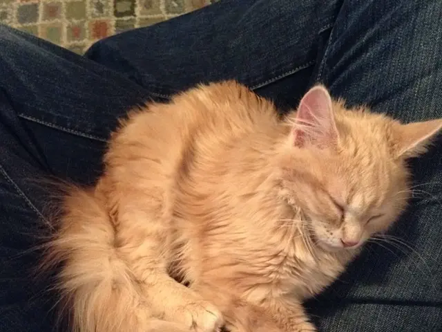 Smell disorders: Origin, remedies, and associated ailments