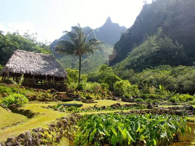 Temple Discomfort: Understanding Causes, Associated Symptoms, and Remedies