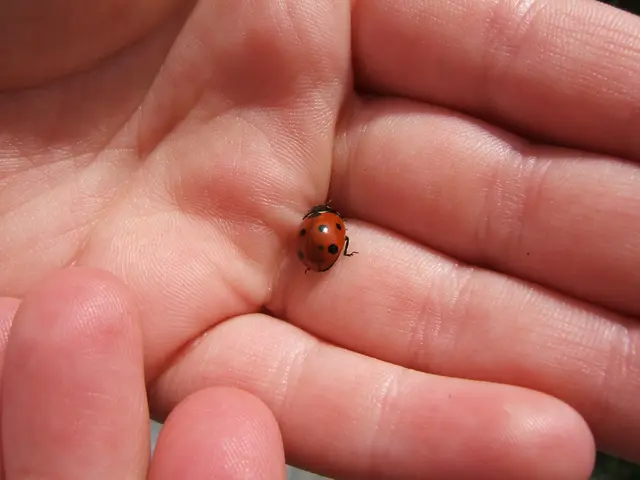 Comprehensive Medical Care Strategy for People Suffering from Nager Syndrome