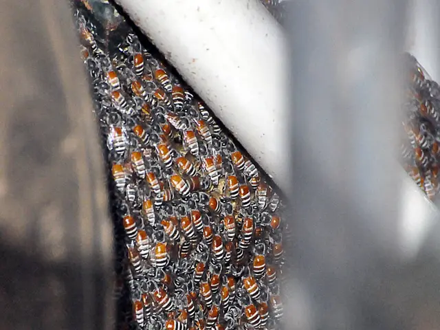 European Parliament members received a correspondence from our site