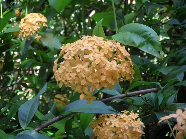 Savoring the Conclusion of Autumn, according to Nigel Slater