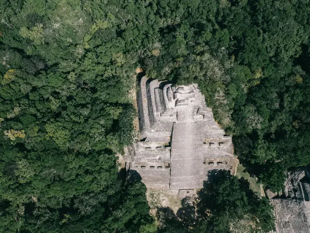 Travel Tips for Bali Newcomers