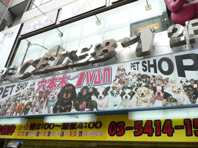 Urban Development Strategies Amid Cultural Shifts and Pandemic Challenges