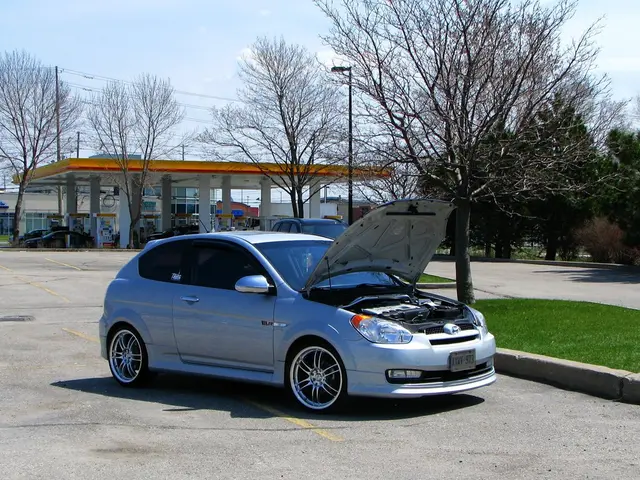 Determining petrol expenses: an analysis of petrol pricing