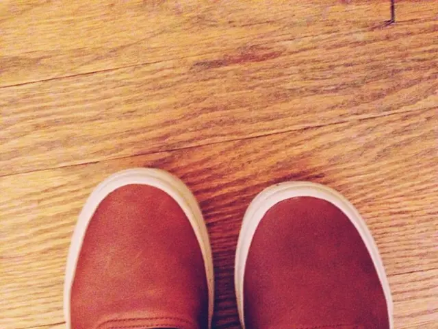 Daily Wear Sneaker Suggestion: Brooks Ghost Max 2, Offering a Comfortable Experience, Currently...