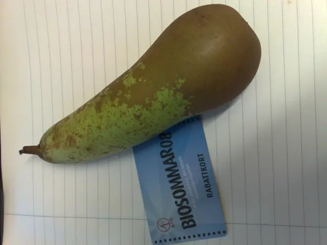 United States Imposes Additional Fee for Foreign Tourists: Portuguese Exempt, Yet a Rising Tax...