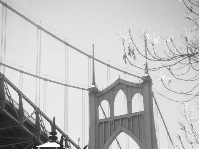 The Bridge of Locked Hearts in Amsterdam: Its Location Revealed (Updated 2025)