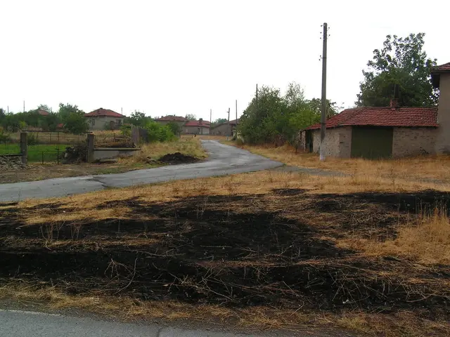 Exploration of Germany's National Parks: A Seasonal Journey Through Family-Friendly Outdoor...