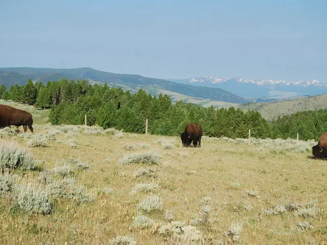 Top 6 Stunning Locations for Capturing Exotic Wildlife Globally