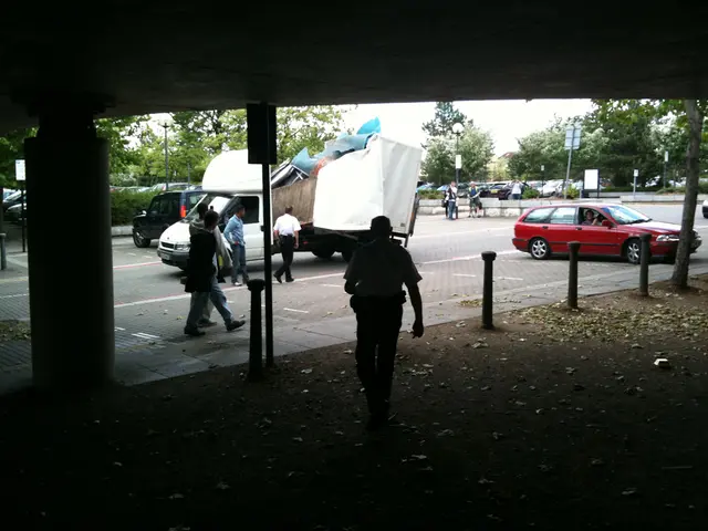 Holiday travel snarl-ups ahead: Seeking workarounds?