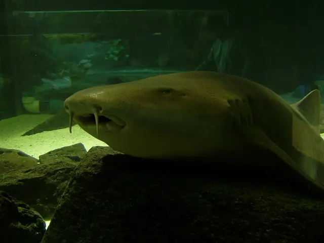 marine laboratory test kits from NT Labs: a purchaser's resourceful guide