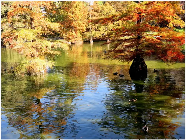 Wildlife Refuge situated in Hakalau Forest