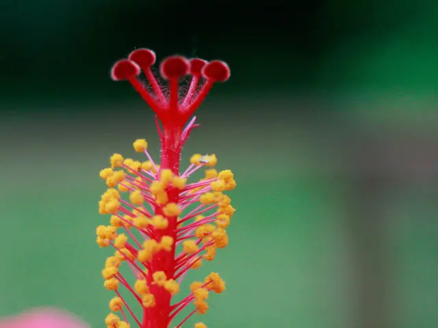 Rain's soothing effect doesn't always alleviate discomfort for allergy sufferers.