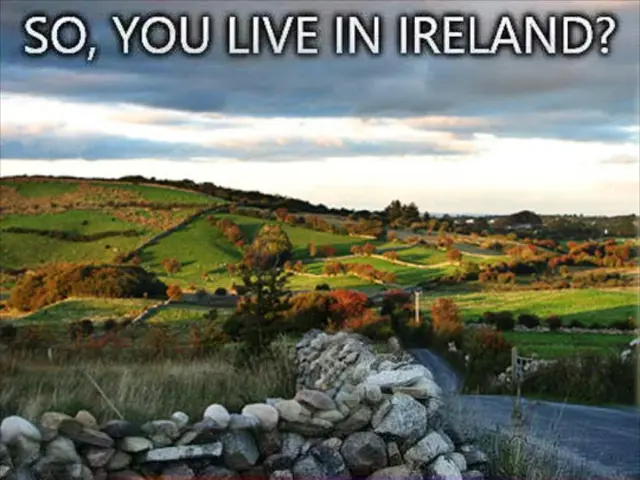 Home Safety Essentials: Could Your Residence Be a Fire Hazard?
