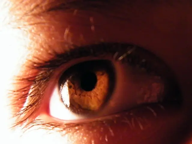 Enhancing the Skin Barrier through Distinct Classification of Normal Human Epidermal Keratinocytes