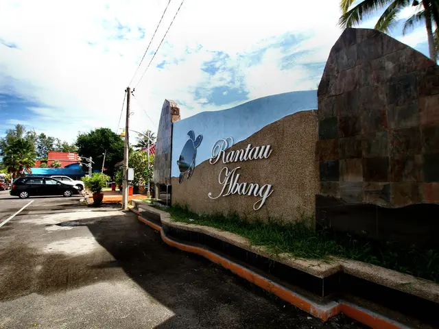 Warning Given to Tourists: Infraction of This New French Road Sign Results in a £118 Fine