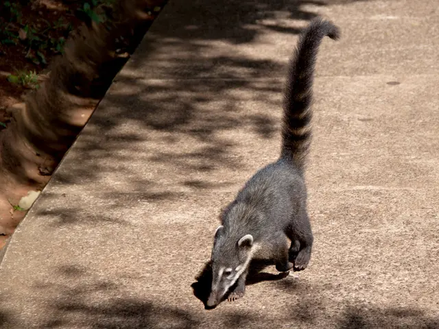 Subtle indications of a thyroid issue: Essential observables to consider