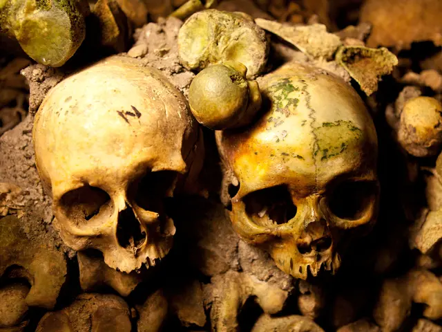 Health Professional Dr. Mohana Rao Patibandla Honored with ET Health Award 2025 in Delhi