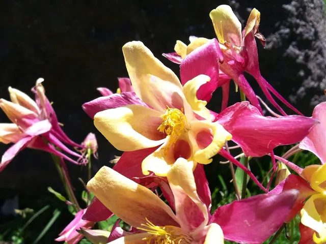 Vibrant, Blooming Shrubs with Red Blossoms That Add Spectacular Color to Your Landscape