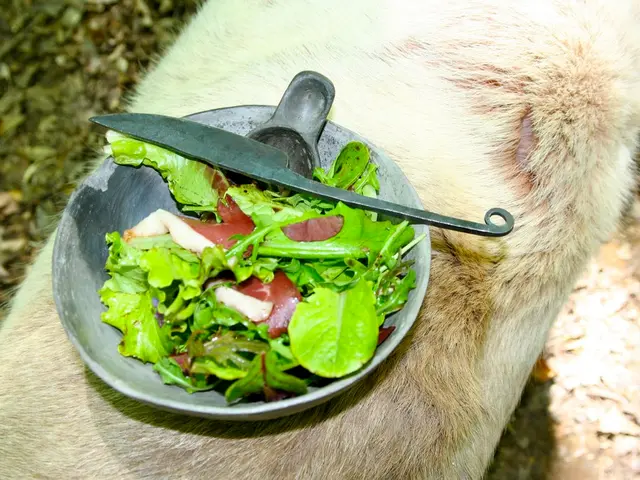 Unconventional Treatments for Ulcerative Colitis: Exploring Varieties, Advantages, and Further...