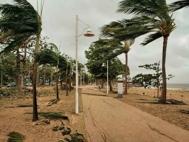 California's Finest Coastal Route: Which One Takes the Cake?