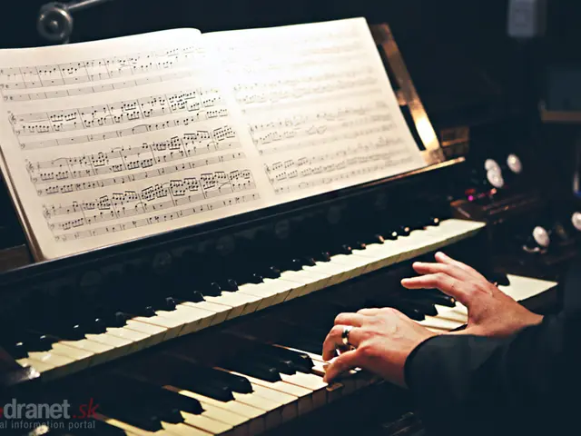 Top Picks for Novice Musicians: Keyboard and Piano Purchase Guide