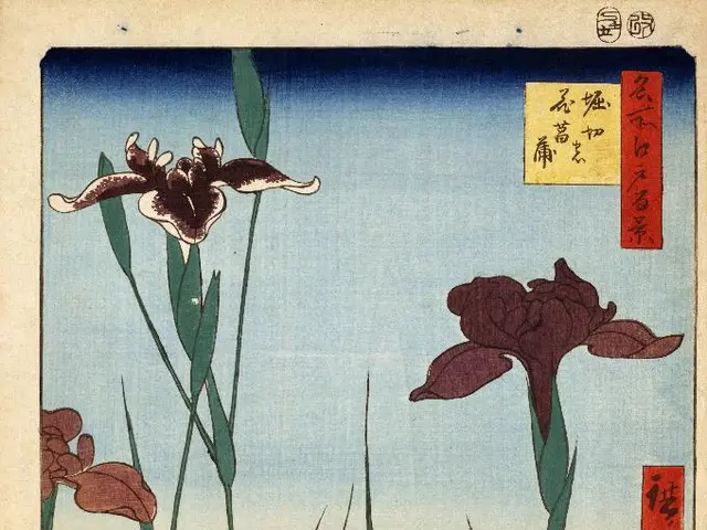 Top 12 Engaging Nature Study Sheets for Immersive Learning, Igniting Awe Every Day