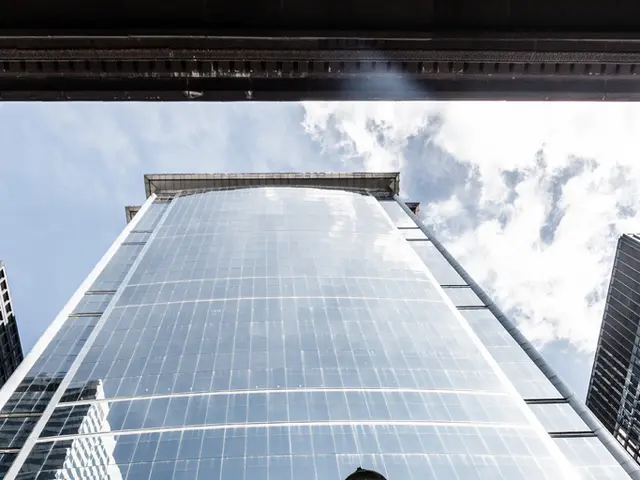 A lack of clear perspective in numerous opinions leaves tourists feeling disillusioned