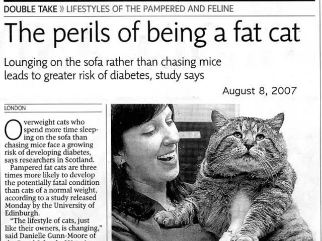 Medicaid funding for clinics in Maine is being challenged in a lawsuit against the Trump...