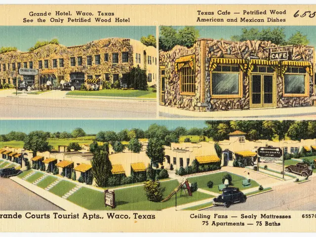 Top 101 Outstanding Infographic Templates for Newcomers (Compiled List for 2025)