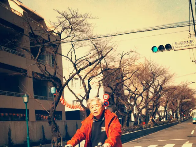 Real-time Traffic Signal Modulation: Altering traffic light intervals in response to current...