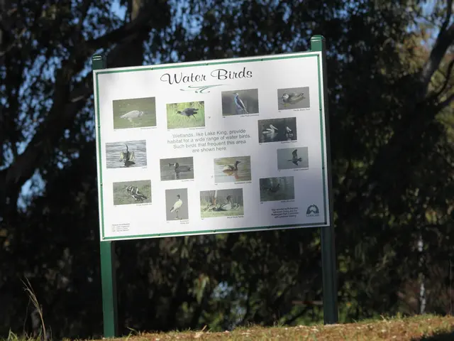 In the quiet corners of Príncipe Island, endangered avian species whistle and chirp amidst the...