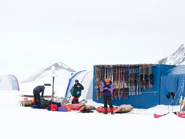 Experience an extraordinary winter adventure in the European Alps, embarking on an unforgettable...