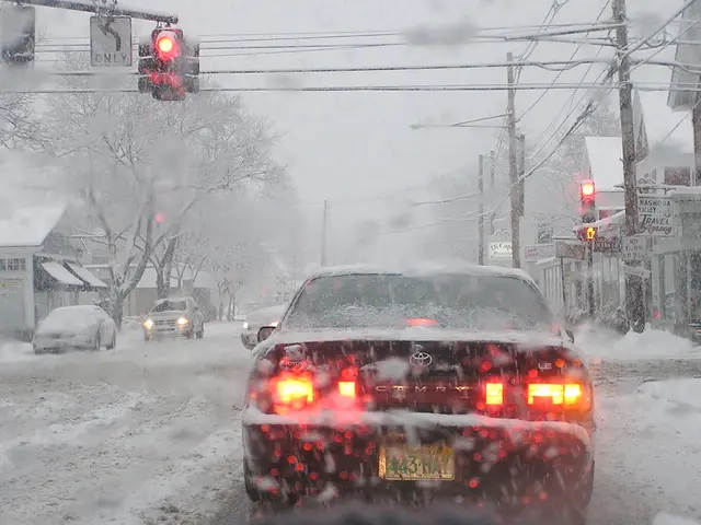 Winter Holiday Car Rental Costs in the Year 2025