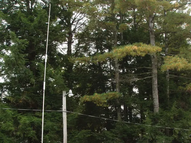 Inquire about previously-owned 2016 Coachman Pastiche 520/4 for purchase