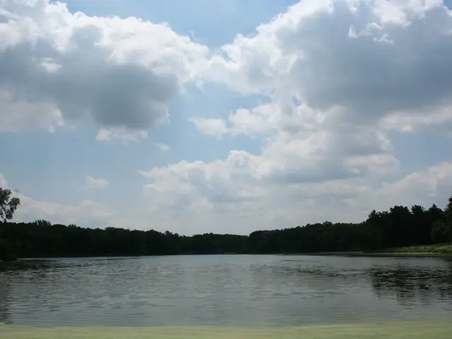 Captivating optical illusion photograph prompts second thoughts on reality